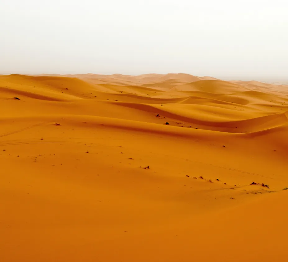 Noix de cajou d'Afrique, pour une collation saine à Nice.