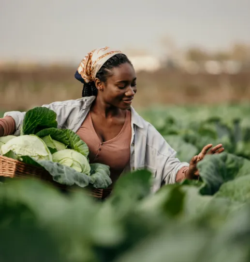 Pâte d'arachide d'Afrique, riche en nutriments, à Rennes.