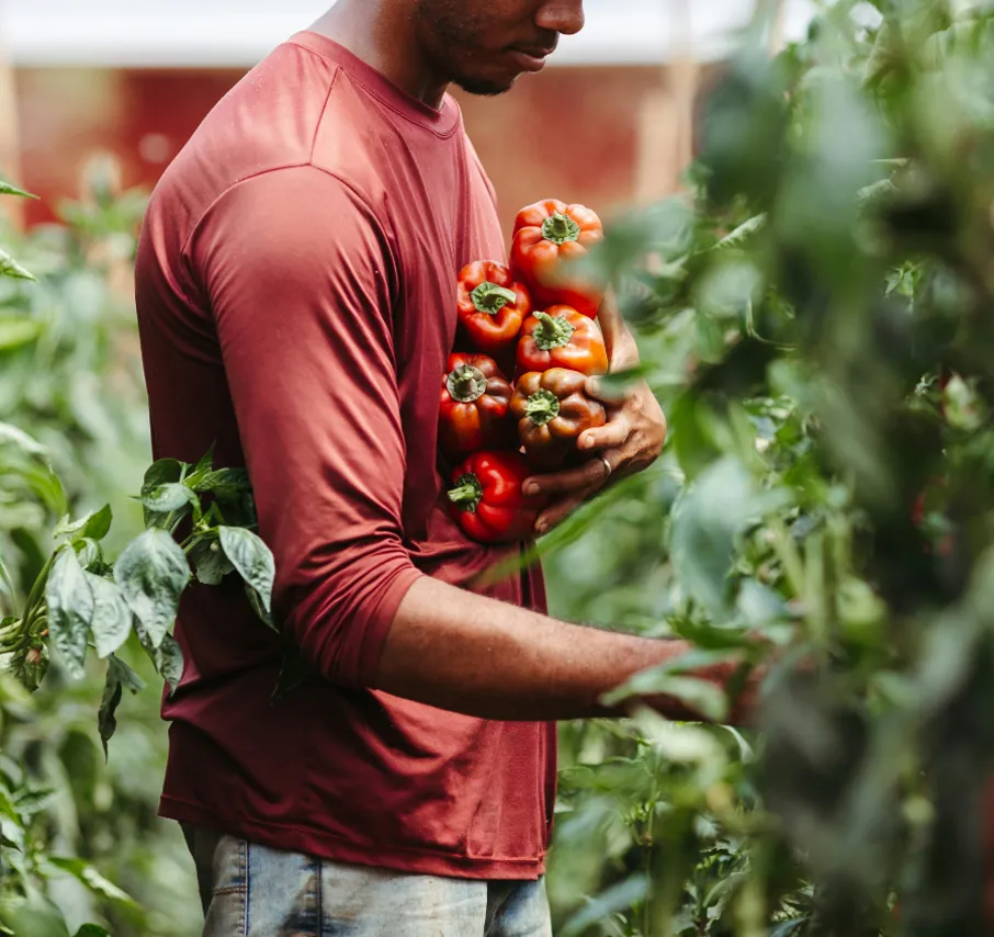 Mélange d'épices africaines, pour des saveurs authentiques à Paris.